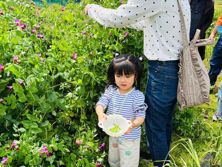 子どもも大人も、収穫のよろこびを