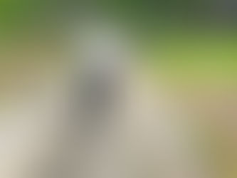 歩く!聞く! 答えは現場にある!