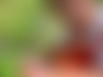 子どもも、大人も、動物も、みんなが輝ける場所