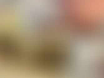 命を守るシェルターへ支援を