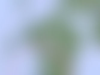 非常に強い台風10号にご注意ください!