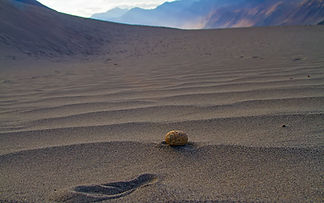IMG_6531_lo_res_1440x900.jpg