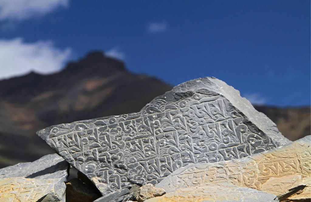 Like Mane, Like Mountain