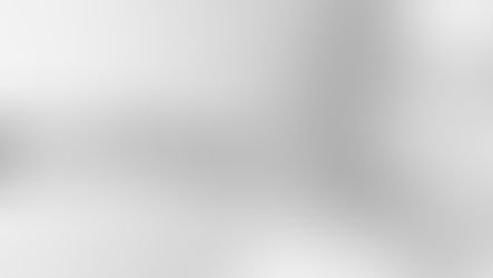 Hoofdrollen Anne Frank en Hannah Goslar ingevuld