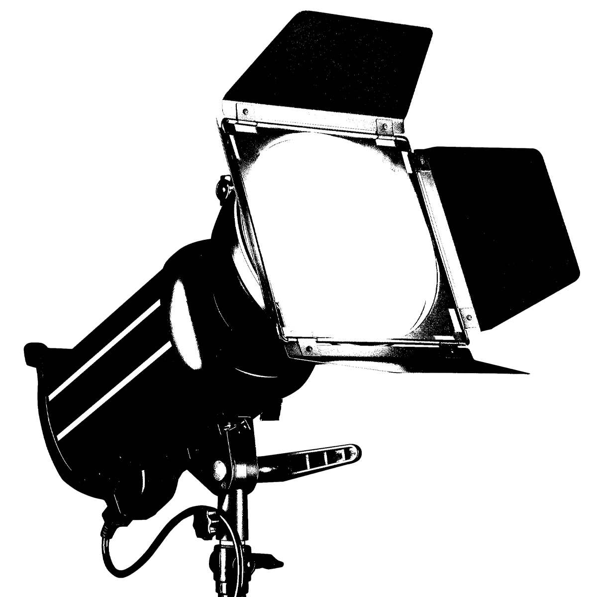 Lights, camera, action animation