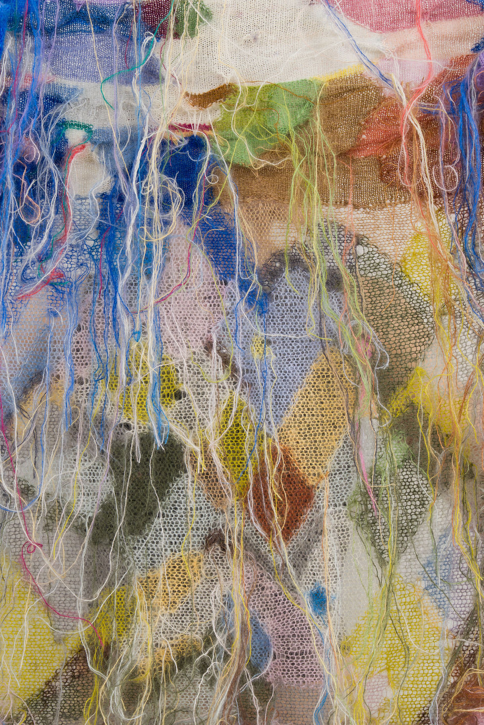 DSC04953-Enhanced-NR