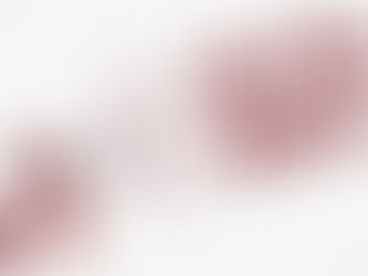 Did you know we have items for sale in the Bargain Centre? Take a look on our exclusive sale items