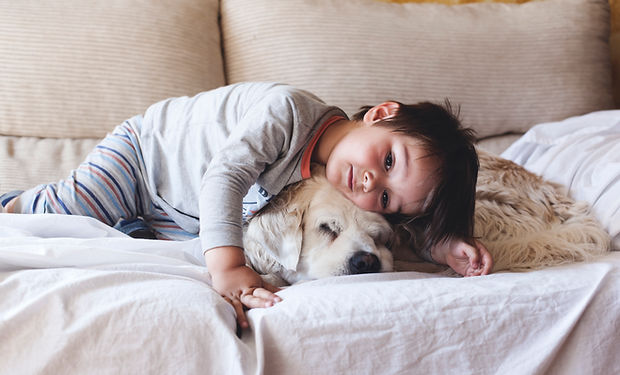 彼の犬を抱きしめるボーイ
