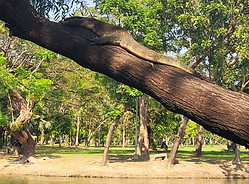Bangkok Park, Thailand