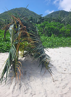 Strand La Digue Seychellen