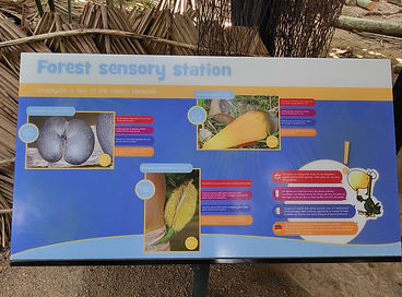 Coco de Mar Seychellen