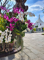 Bangkok Tempel, Thailand