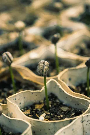 Emergence Group, Food Ag Collaborative, Navajo Nation