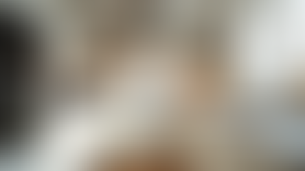 Expert Guide to Quality Remodeling in Missouri City