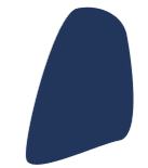 Ellipse 7 (2).png