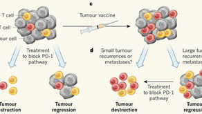 （黑色素瘤）腫瘤疫苗資訊（Nature）