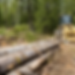 Untitled design (18).png