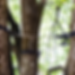 Untitled design (17).png