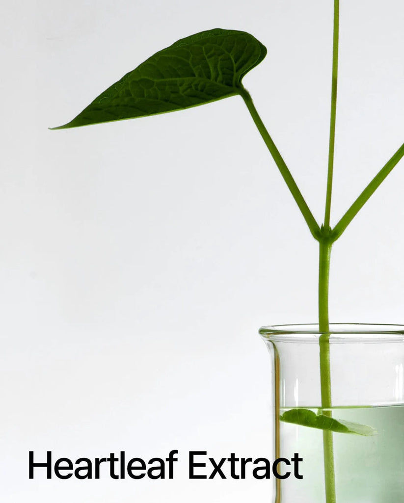 Thumbnail: Anua Heartleaf Pore Control Cleansing Oil