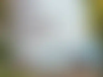 To bring in 100 new immigrants, Ontario Immigration launches the Entrepreneur Pilot Program.