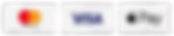 buttons-popular-payment-systems-masetcard-visa-apple-pay-google-website-rectangular-rounde