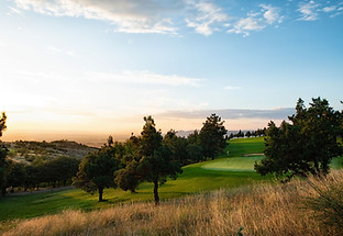 WhatsApp Image 2024-07-30 at 4.02.01 PM.jpeg