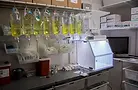 IV Vitamin Therapy Clinic Las Vegas
