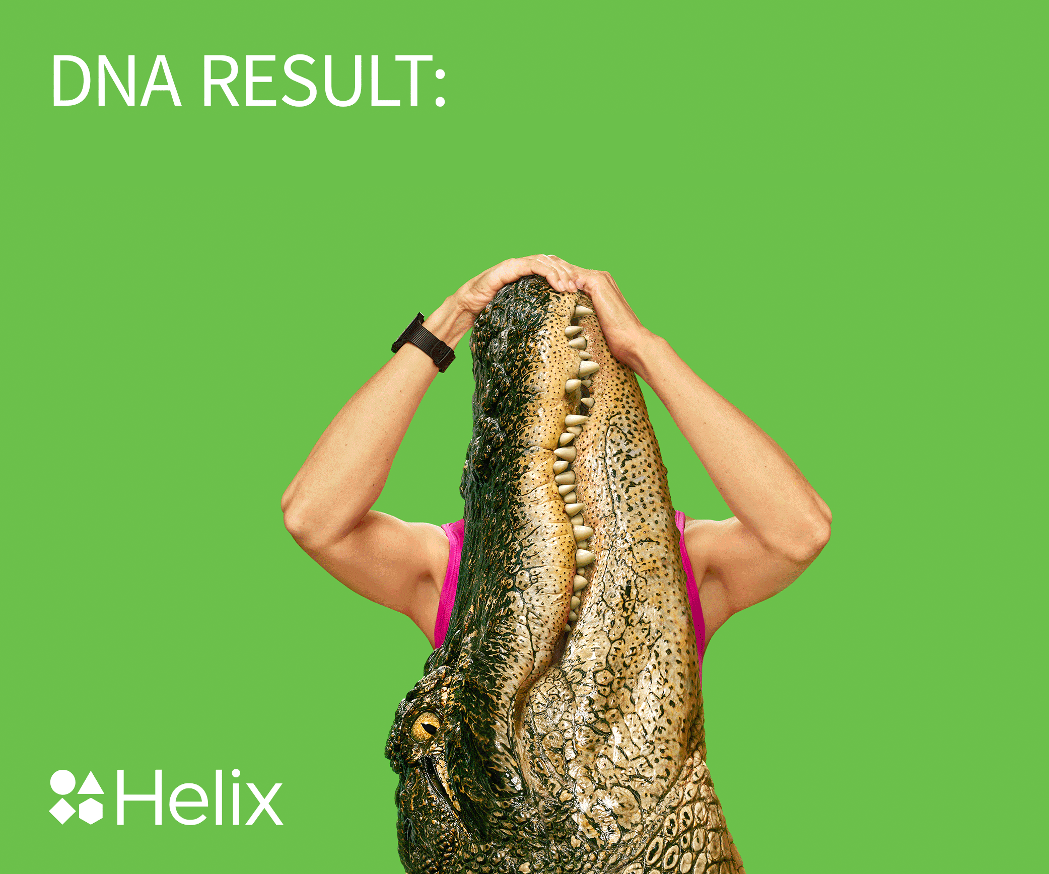 Alligator-300x250.gif