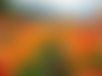 Exploring Comprehensive Daylily Farm Services Overview