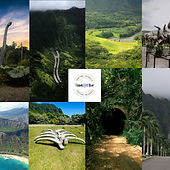 collage (67).jpg