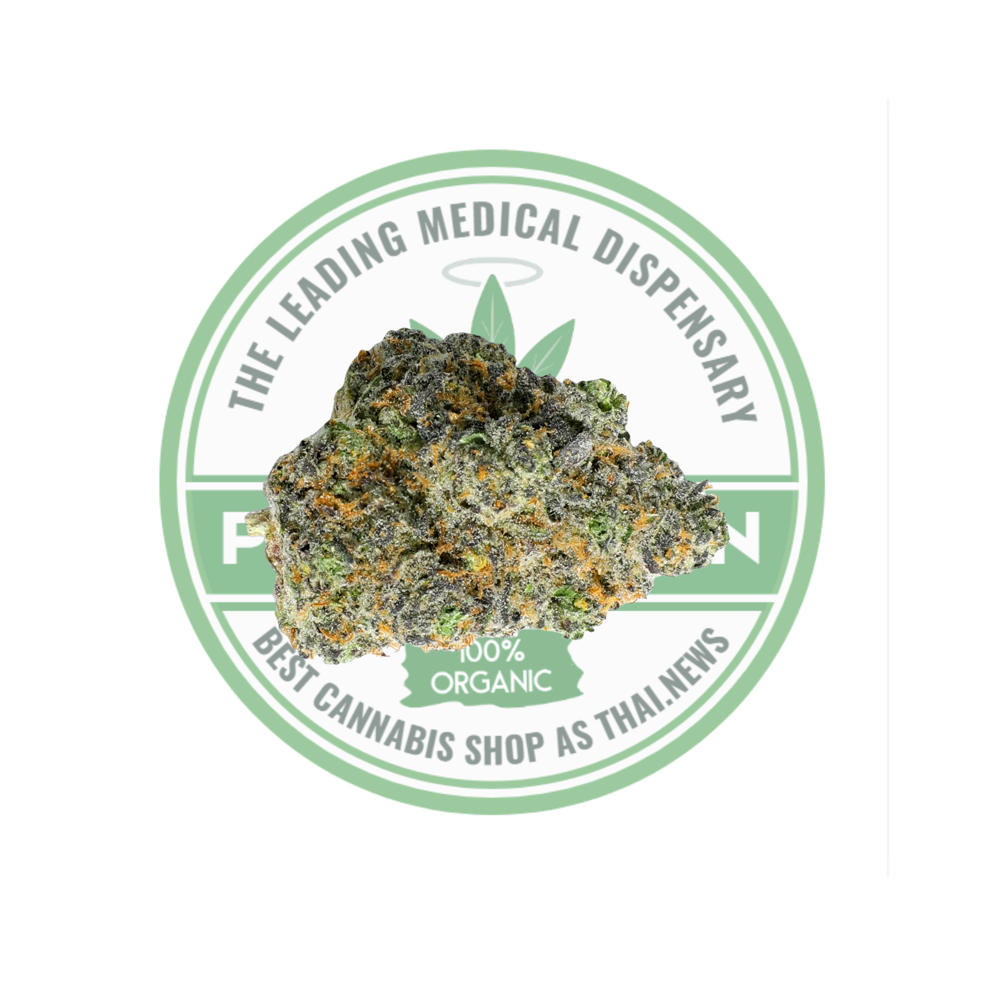 Sour Apple – Sativa  Premium Cannabis | 70% Sativa | THC: 20%