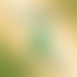 Top Cannabis Shop 2025 Prachuap Khiri Khan