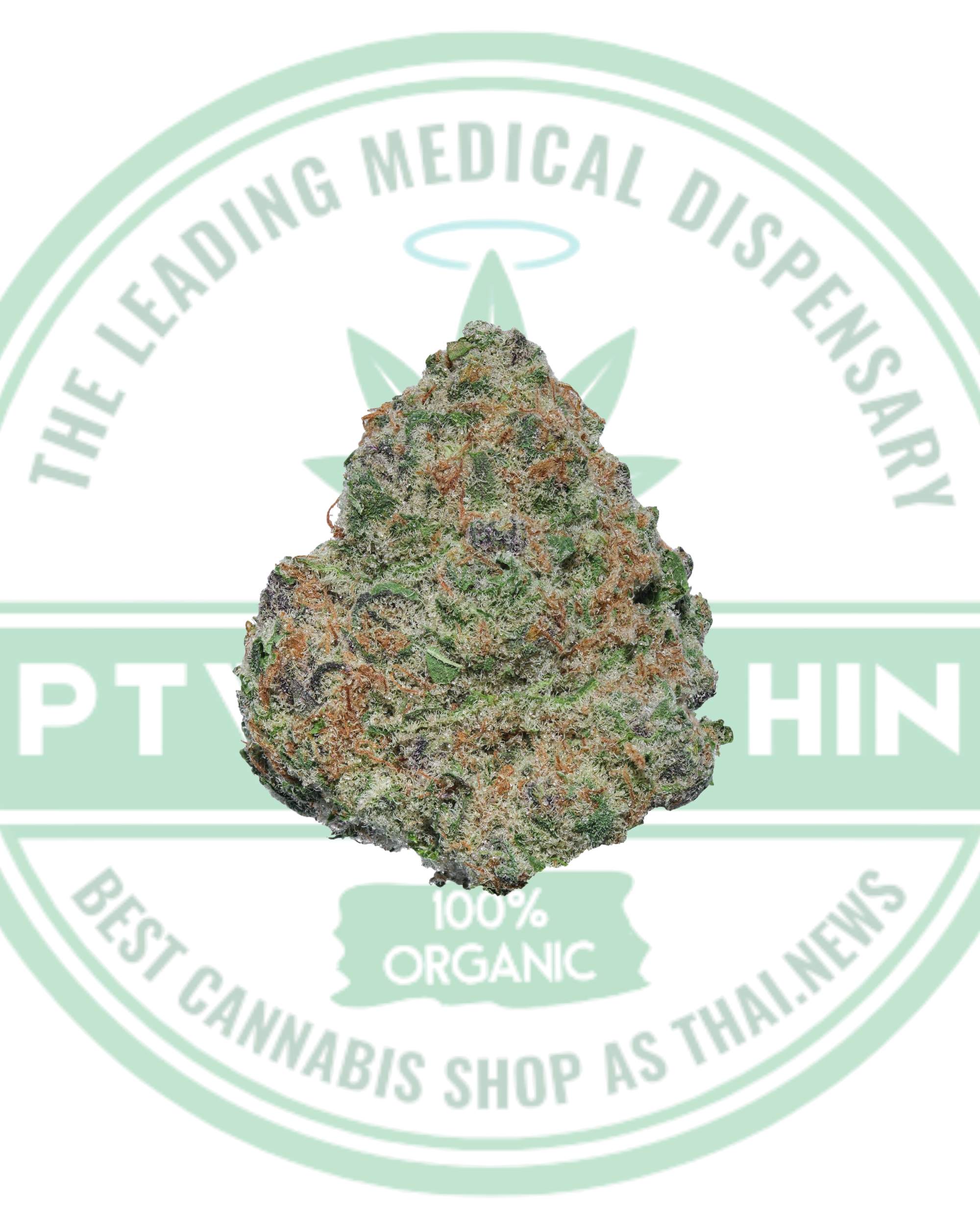 Super Buff Cherry – Balanced Hybrid | THC 23–25%