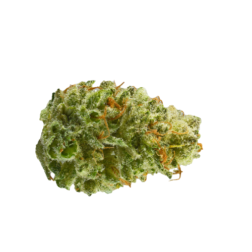 Strawberry Diesel - Hybrid