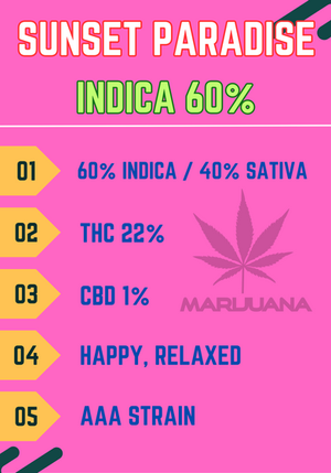 Sunset Paradise Cannabis