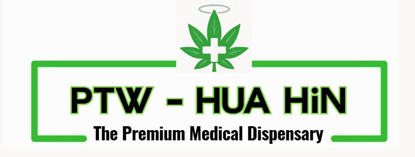 PTW Logo Banner Medical