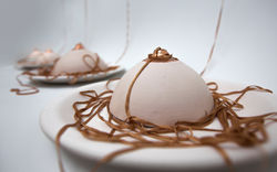 Úberes intumescidos de Ariadne