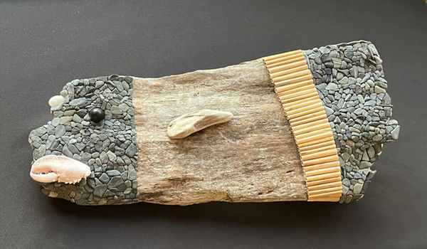  Deep Sea Stranger, (tabletop) Found seashore objects,  2024, 21” x 10” x 2” (18” at bottom).jpeg