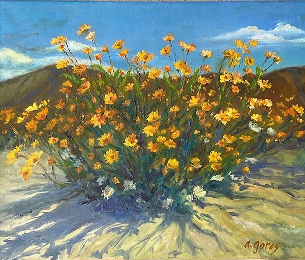 Borrego Springs Wildflowers, Giclee on archival paper, 20”x24”,$2400.jpg