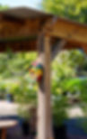 DSC09914.jpg