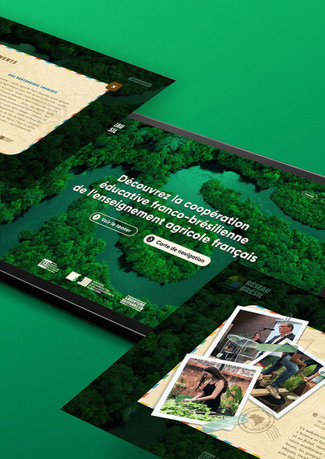Plateforme digitale Réseau Brésil présentant les échanges franco-brésiliens en agronomie et les archives du programme