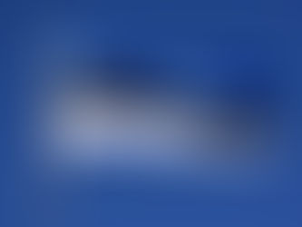 Estonian Flag