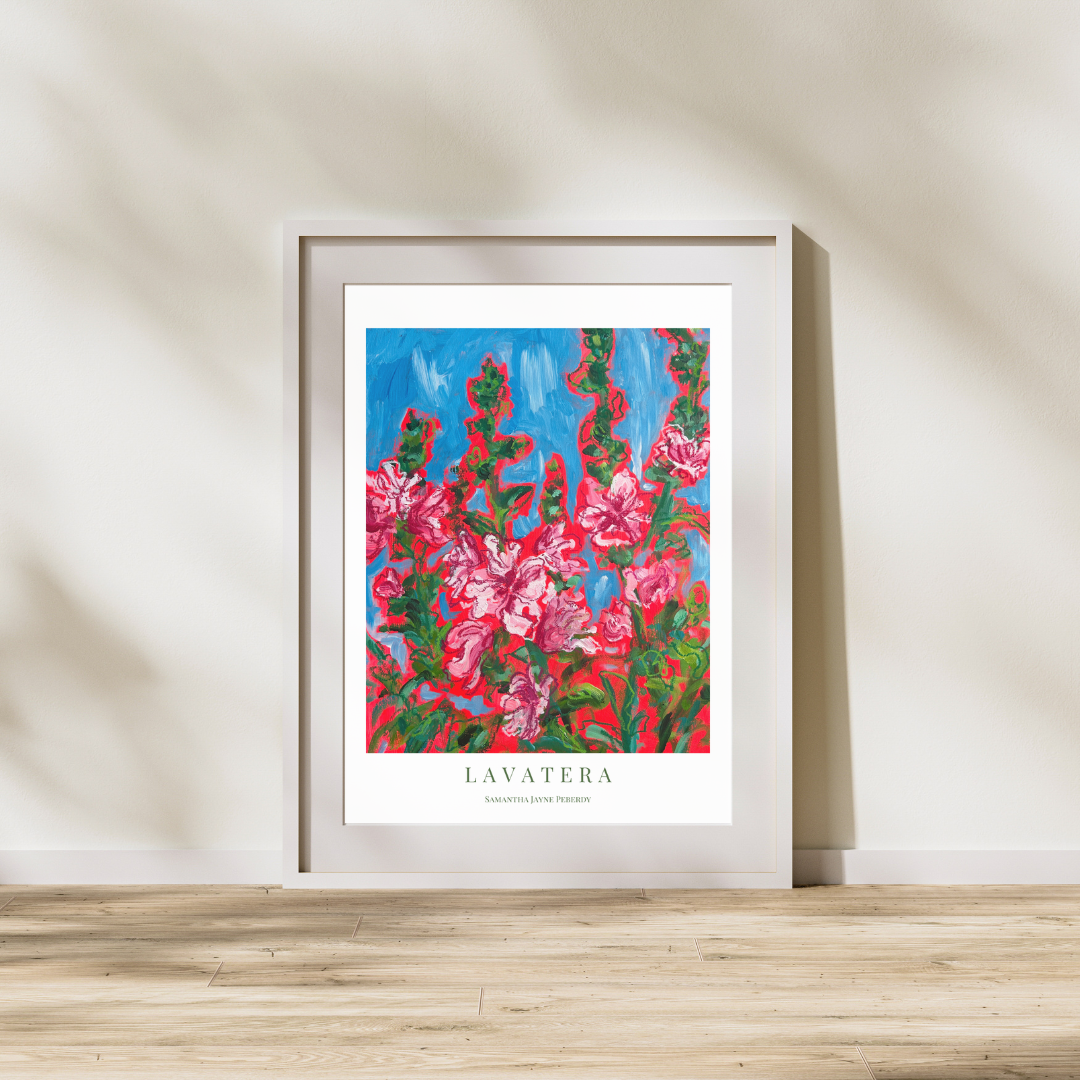 Lavatera Fine Art Print