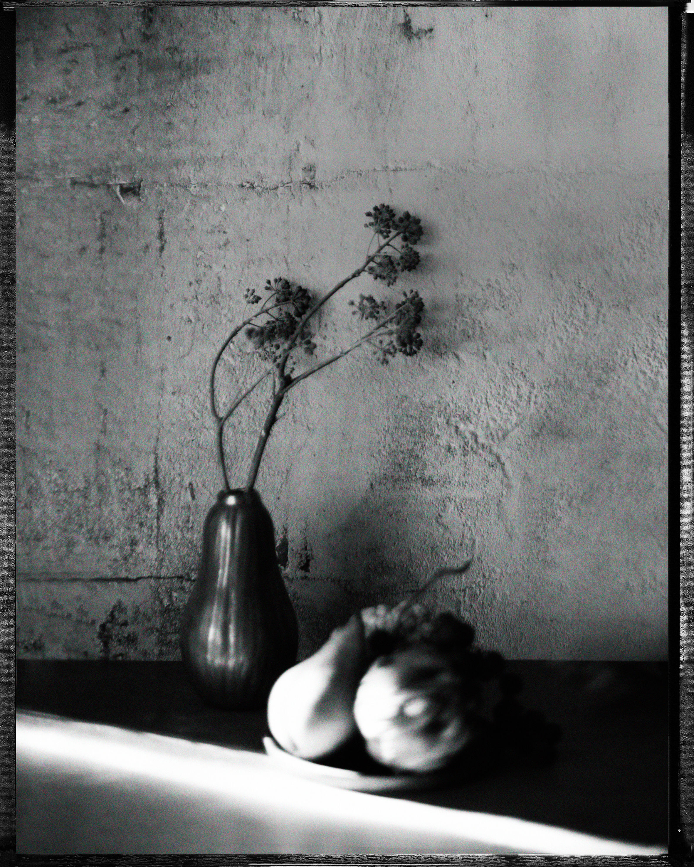 Still life 2, Praha, 2021