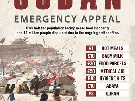 Sudan Emergency Appeal