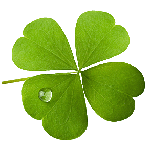 trefle_4_feuilles_vert.gif