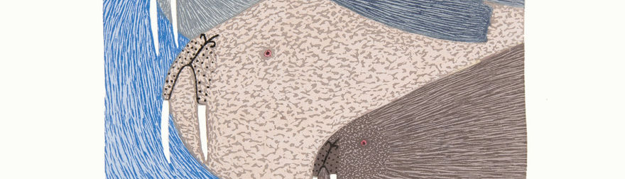 Brown, gray and blue walruses swim