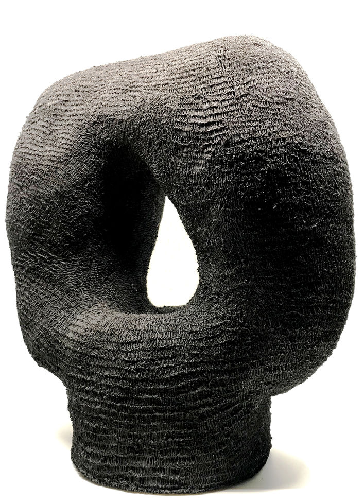 large organic sculpture with hole in center 