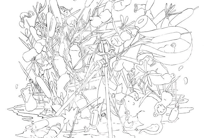 line drawing of complicated still life with branches and water bottles