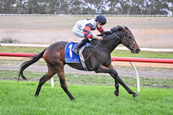 Regal Surge makes it 2 winners in 3 days